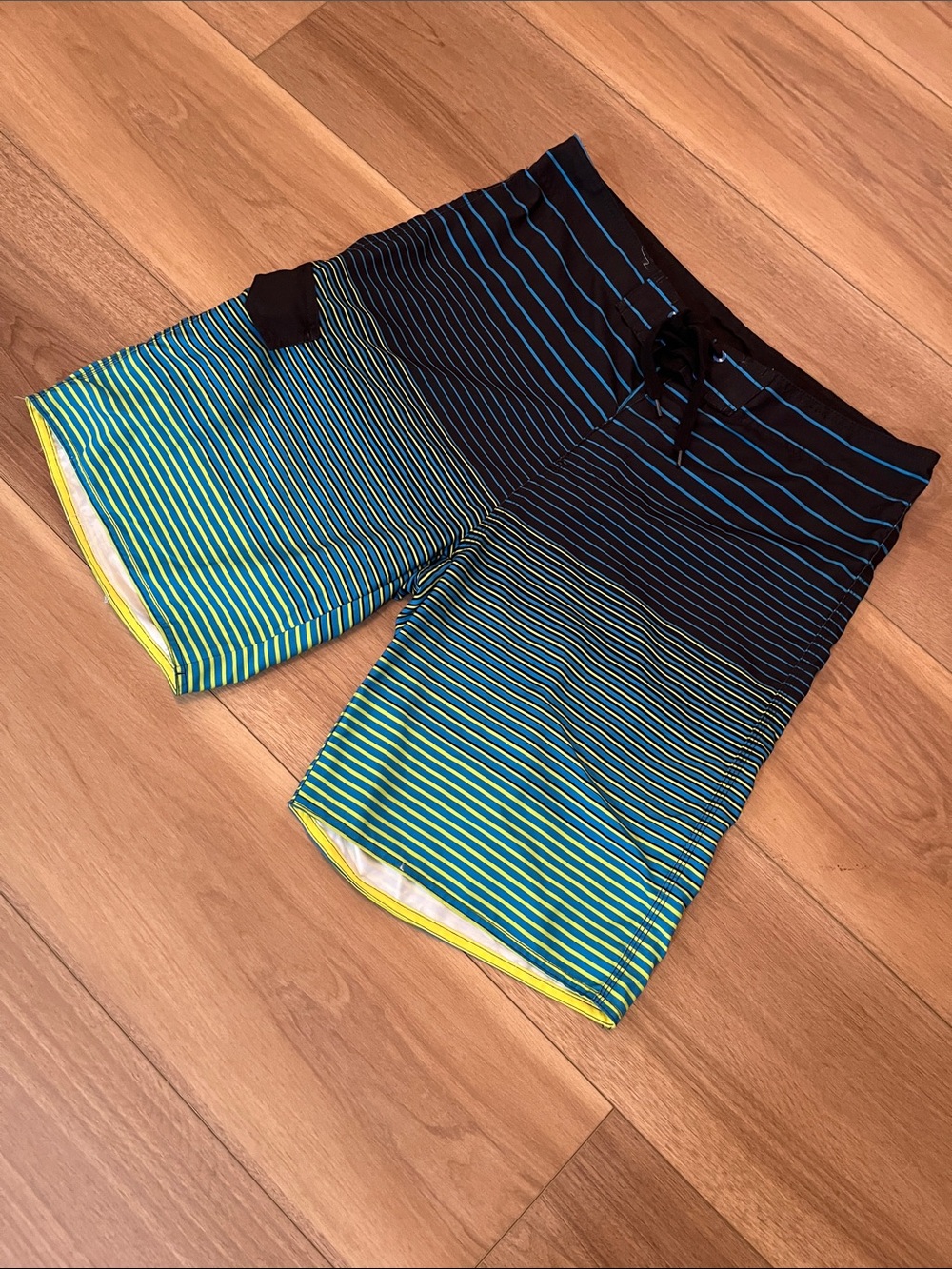 burnside Blue and Green Striped Swim Trunks